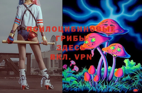прущие крисы Дмитровск