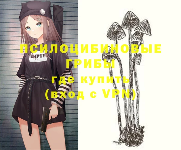 гашиш Дмитриев