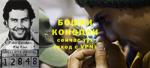 гашиш Дмитриев